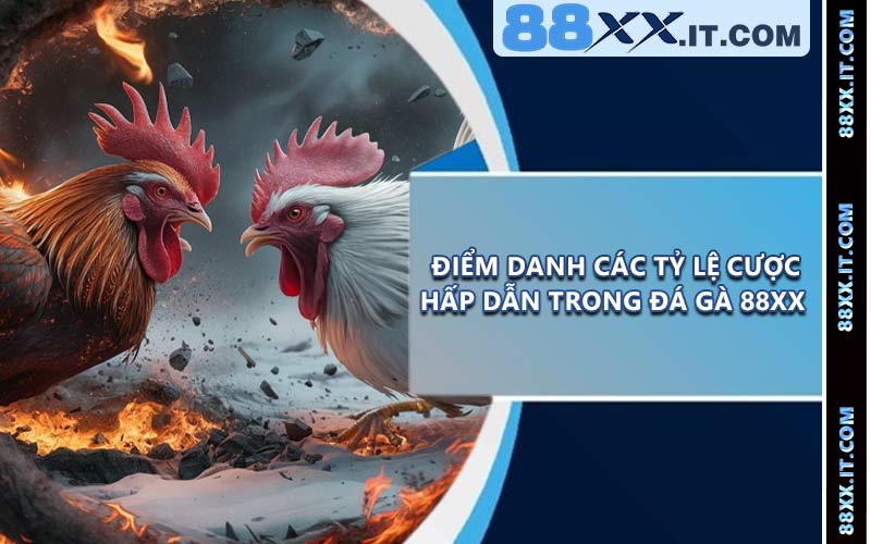 Điểm danh các tỷ lệ cược hấp dẫn trong đá gà 88XX 