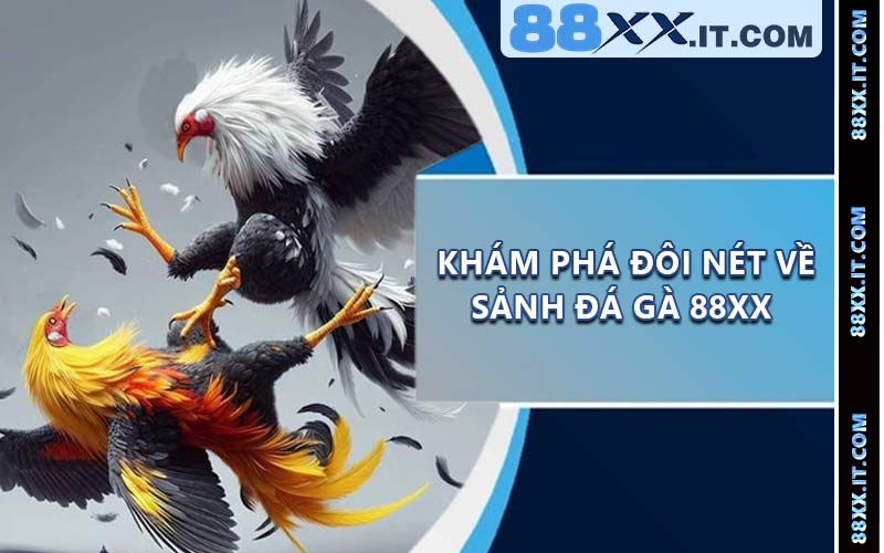 Khám phá đôi nét về sảnh đá gà 88XX 