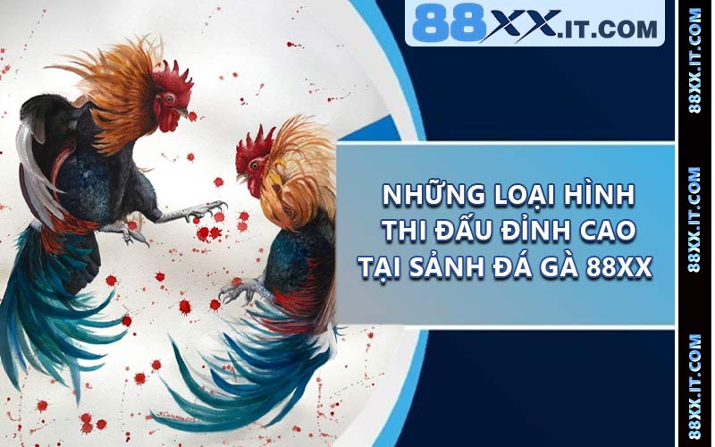 Những loại hình thi đấu đỉnh cao tại sảnh đá gà 88XX 
